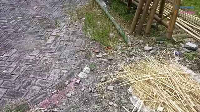 Pembuatan pagar dan gapura bambu