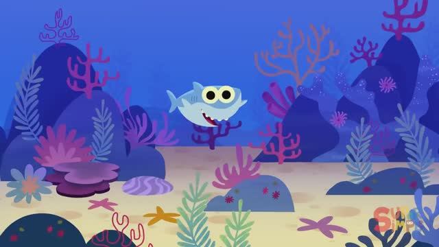Baby Shark - Акуленок