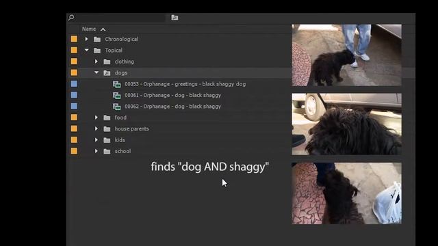 Logging in Premiere Pro CC (and Boolean search bins)
