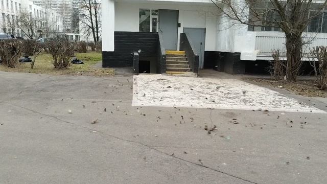 Возвращение вихрачупчика.
