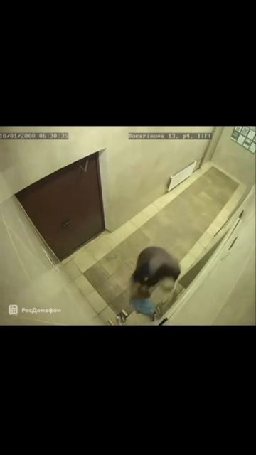 ПрофессиАнальный курьер #fyp #rec #meme #доставка