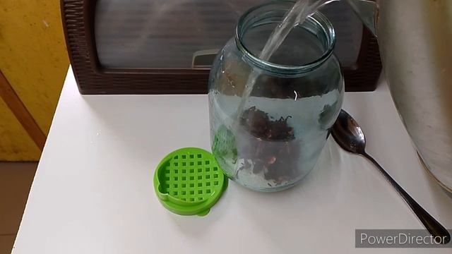 У нас новые деревья 5.04.25