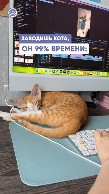 Нравится