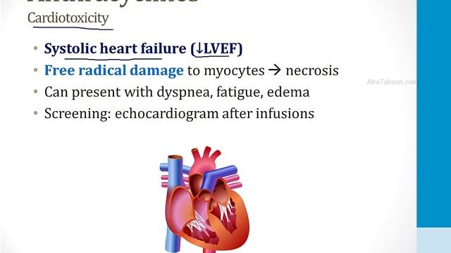 Hematology - 4. Cancer Drugs - 3.Antitumor Antibiotics atf