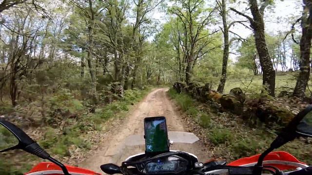 Trans Euro Trail - TET PORTUGAL Day 4 - Episode 3:  Magical woods