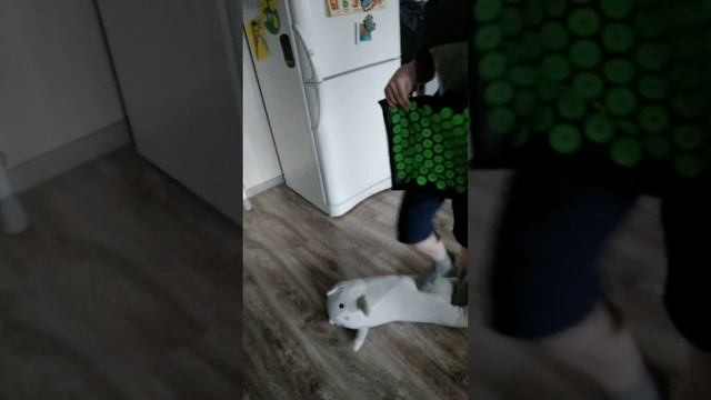 Пол это лава видео.