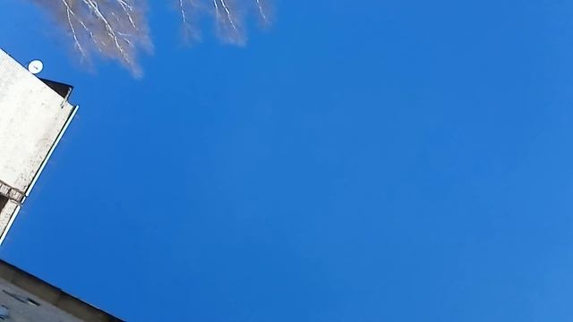 Первый раз за три месяца 🤸✊