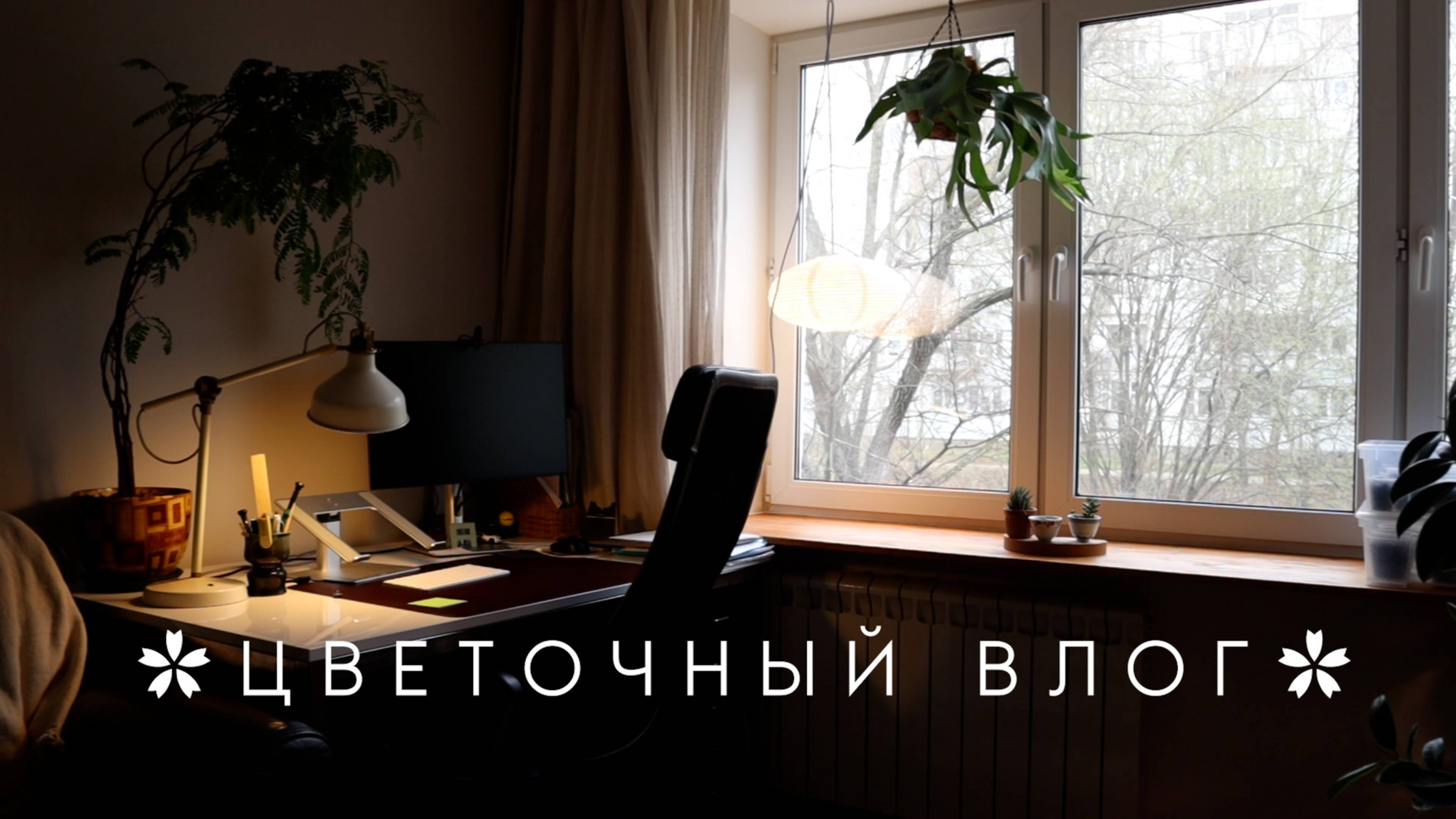Цветочный влог | Переделываю гостиную