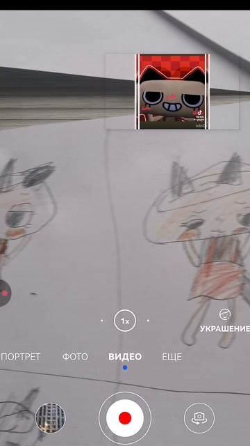 SORRY SHELLY 😭😭😭 cat shelly 🐱Shorts Я РУССКАЯ