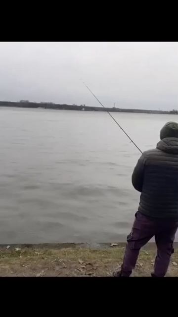 поддержи канал подпиской