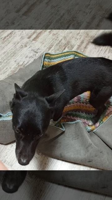 Для настроения😁