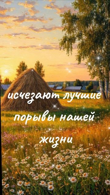 О жизни