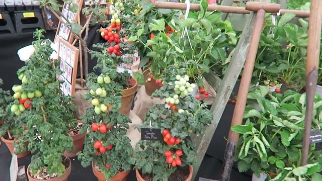 BBC Gardener's World Live 2017