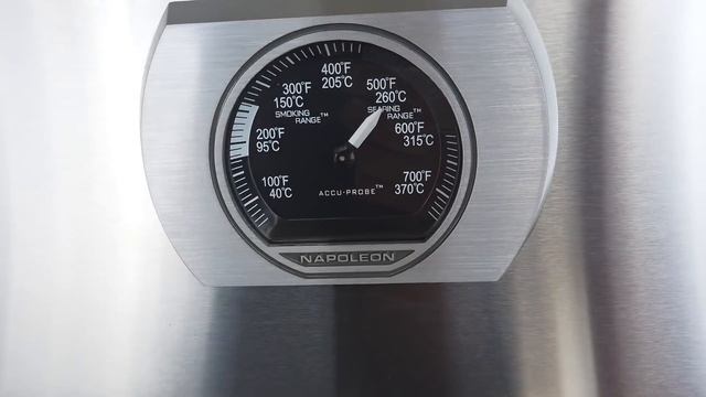 Napoleon Rogue XT 625: cos'è e come funziona questo barbecue a gas