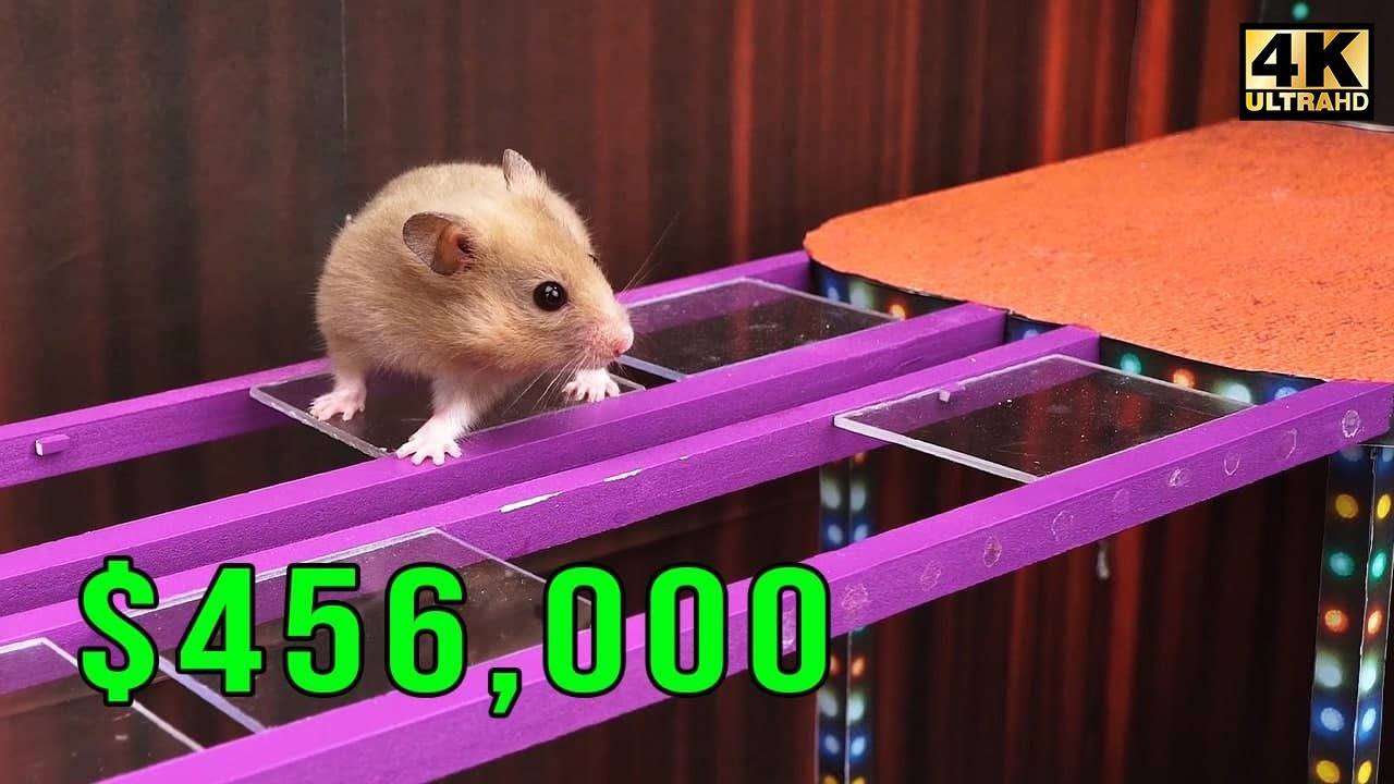 МУЛЬТИКИ ДЛЯ ДЕТЕЙ ХОМЯК СРАЖАЕТСЯ СО ВРЕМЕНЕМ И УСПЕВАЕТ мультики для детей