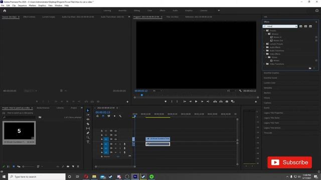 How to blur a video In Adobe Premiere Pro