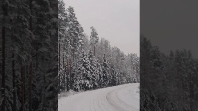 №75 Гармонизация, балансировка, сонастройка полей безопасности