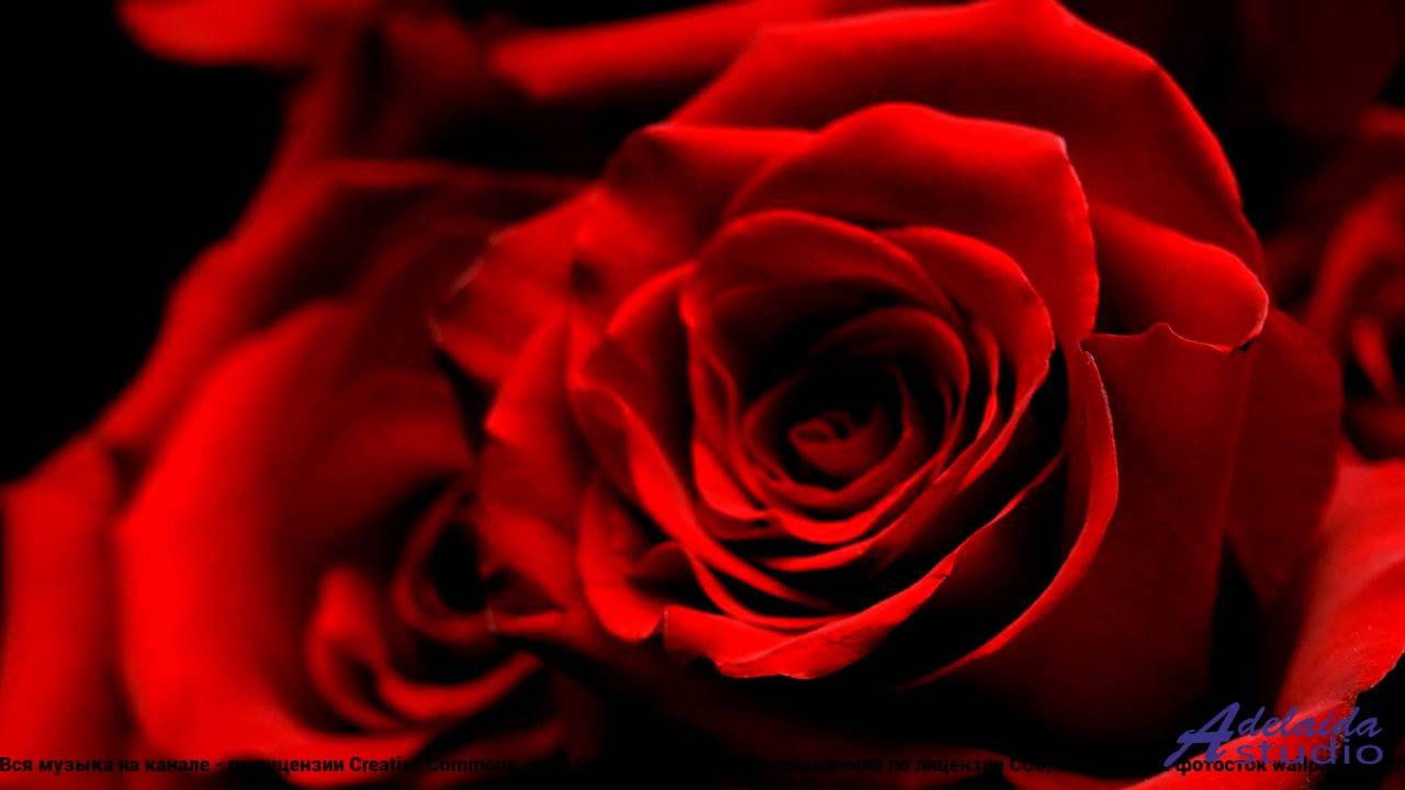 ✸ ♫ ❤ Песня, которая заставляет летать - Farewell to Heaven Before Incarnation -- Semion Krivenko-Ad