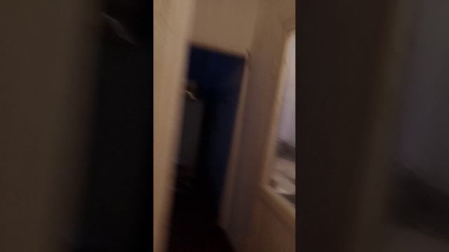 VID_20250405_193004.mp4