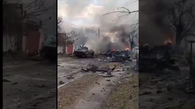 две разные жизни........