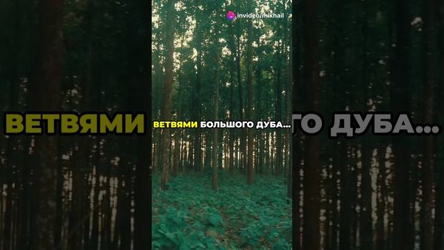 Авессалом: история гордости и падения
