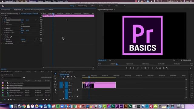 Keyframing Position, Scale and Rotation With Premiere Pro