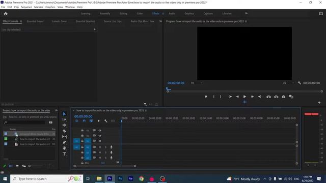 how to import the audio or the video only in premiere pro 2022