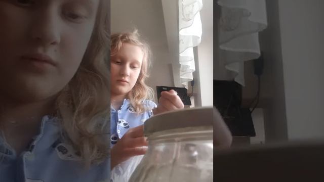 готовим желейные лапки