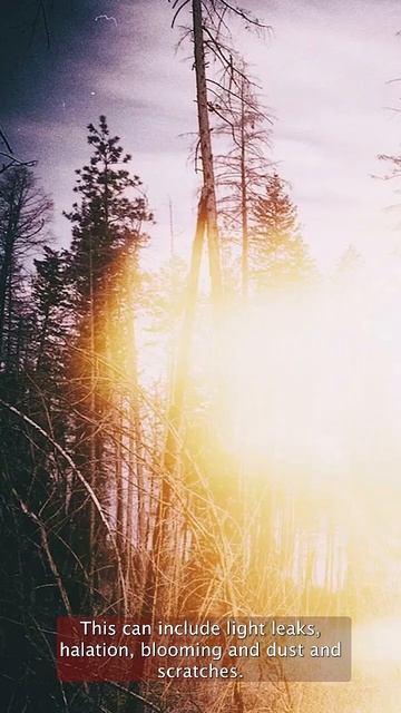 Get the “Film” look | #Shorts #Lightroom @Dehancer