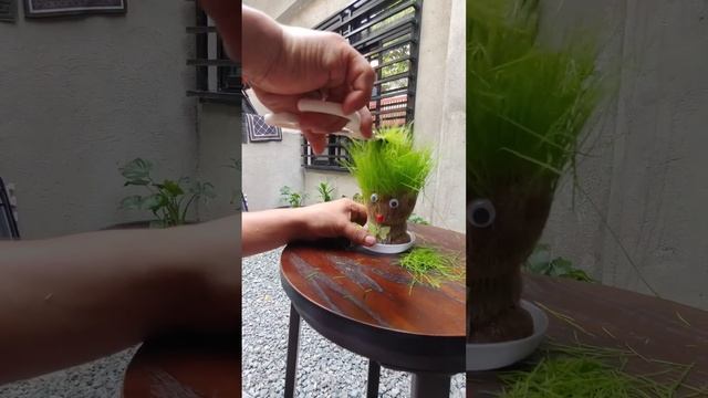 May Buhok na si Mr. Grass Head ni Bebang | Madam Sonya Funny  Video