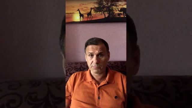 Истинная правда жизни, ТС 91