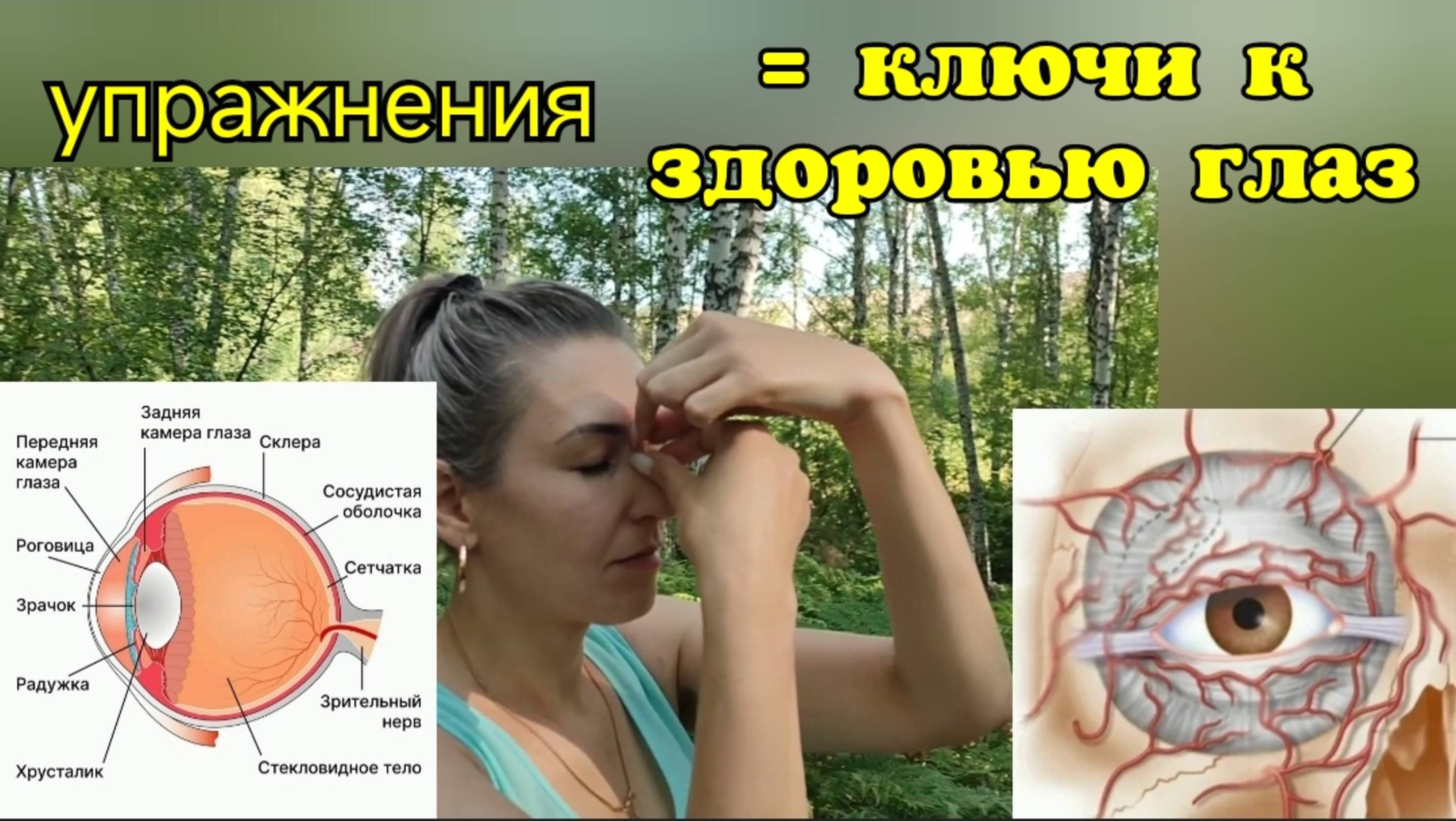Веки глаз, хрусталик, сетчатка деградируют от голода? Оживите медиальные артерии век