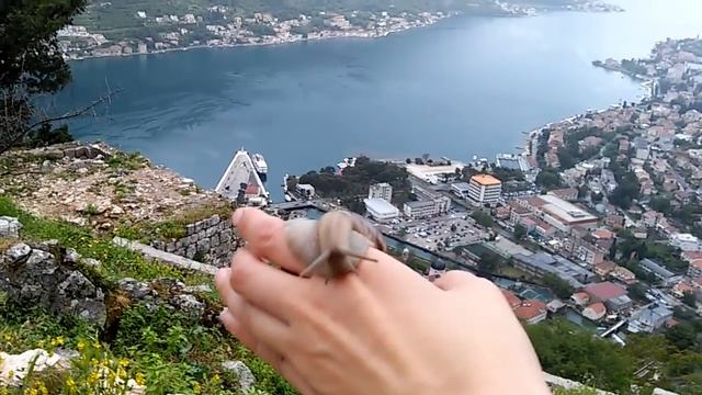 Котор. Крепостная стена.