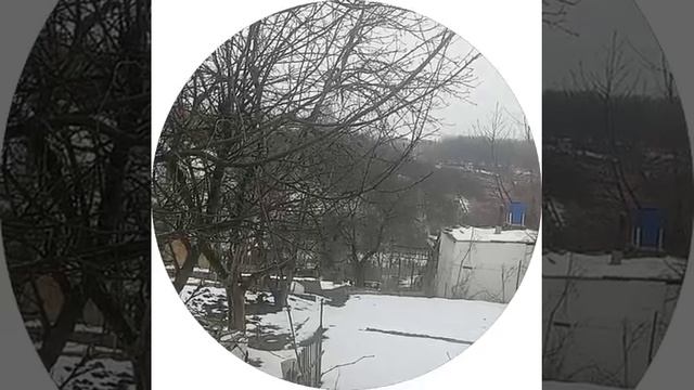 787178215_456239066