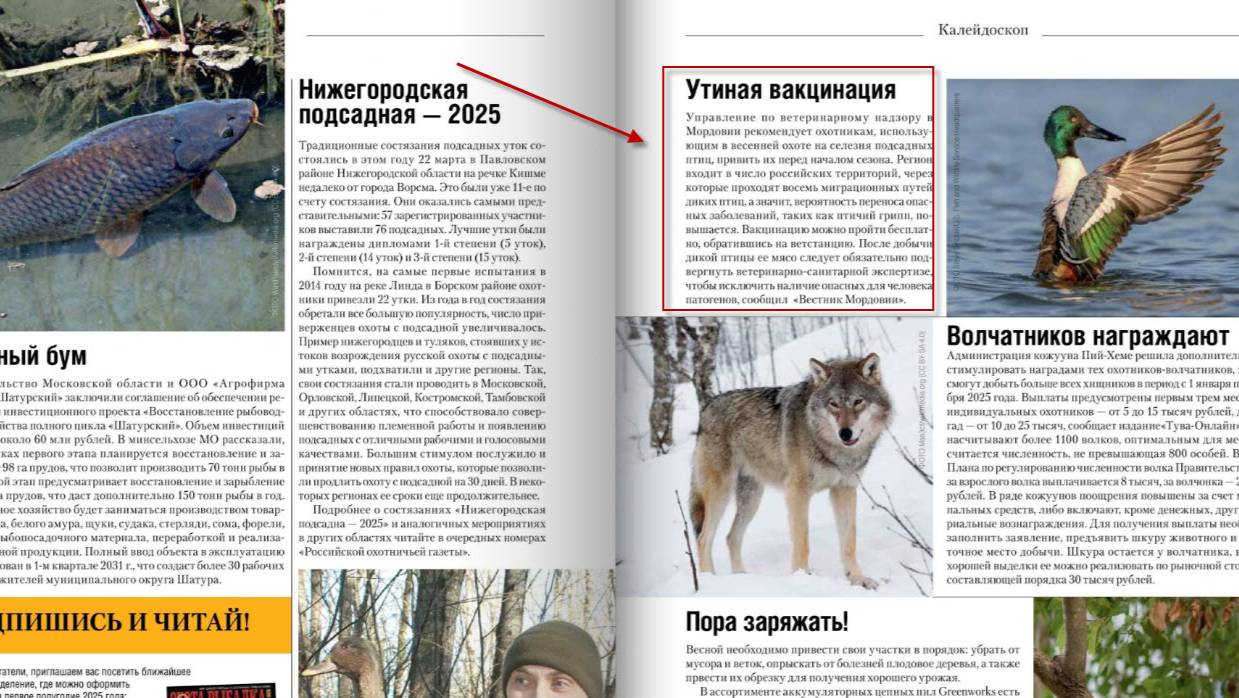 Яндекс перевод картинки в текст