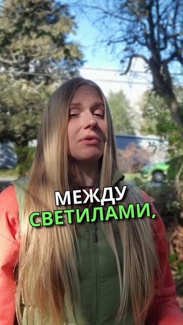 Астрологическая совместимость