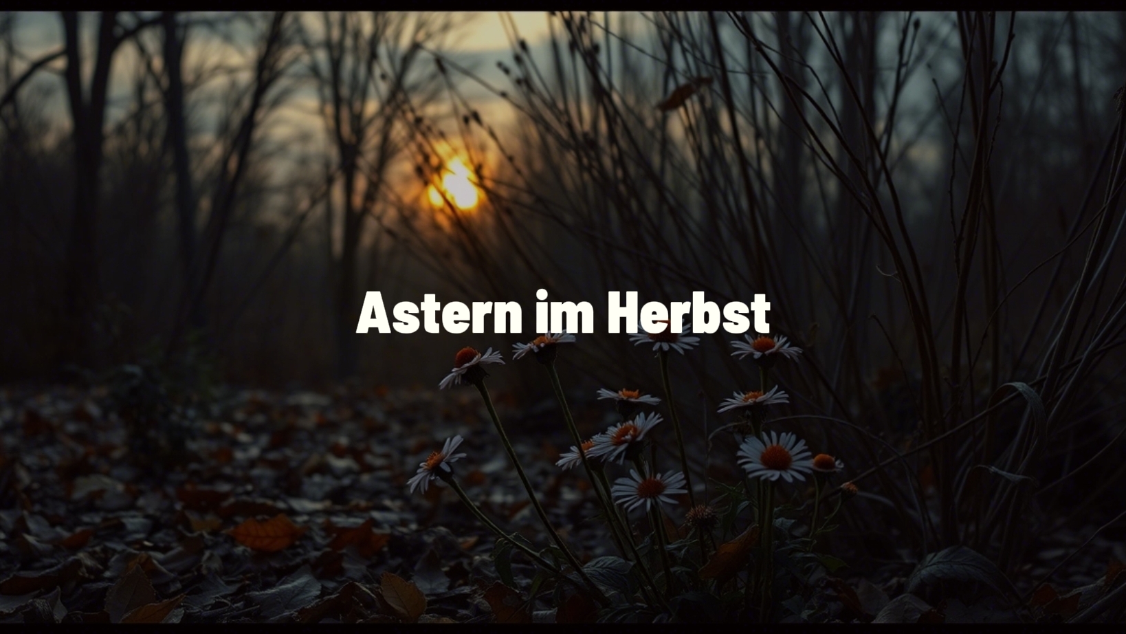 Astern im Herbst
