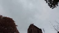 Железнодорожный Gerdauen Вокруг развалин кирхи