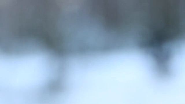 История семьи Бугаевых