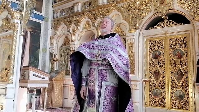 Проповедь протоиерея Иоанна Барсукова в праздник Похвалы Пресвятой Богородицы