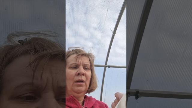 5 апреля 2025 г.