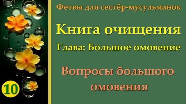 10. Книга Очищения (Вопросы большого омовения)