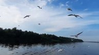 НАШ ПЕРМСКИЙ КРАЙ,