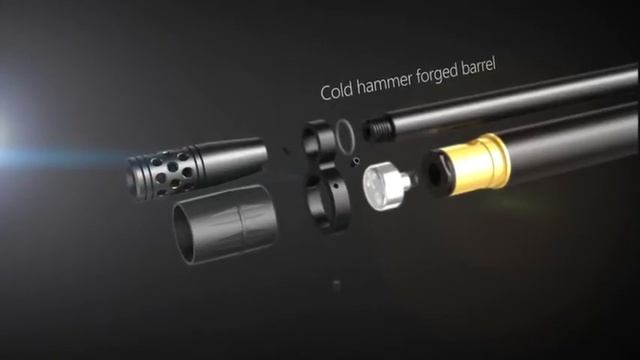 BSA buccaneer / Gamo coyote strip down.