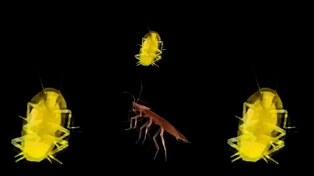 Dancing cockroach (Tobi King - Loli Mou)