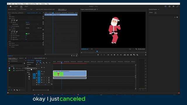 Adobe Premiere Pro 2024: How To Remove Green Screen In Premiere Pro