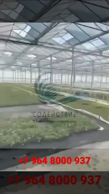 Работа за границей +7 9247077966
