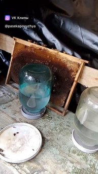 Витаминная поилка для пчёл на древесных угольках