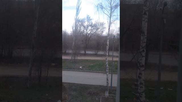 20250405_185940