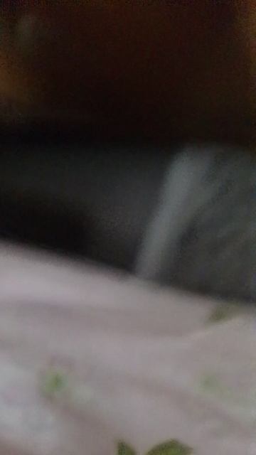прятки 1234